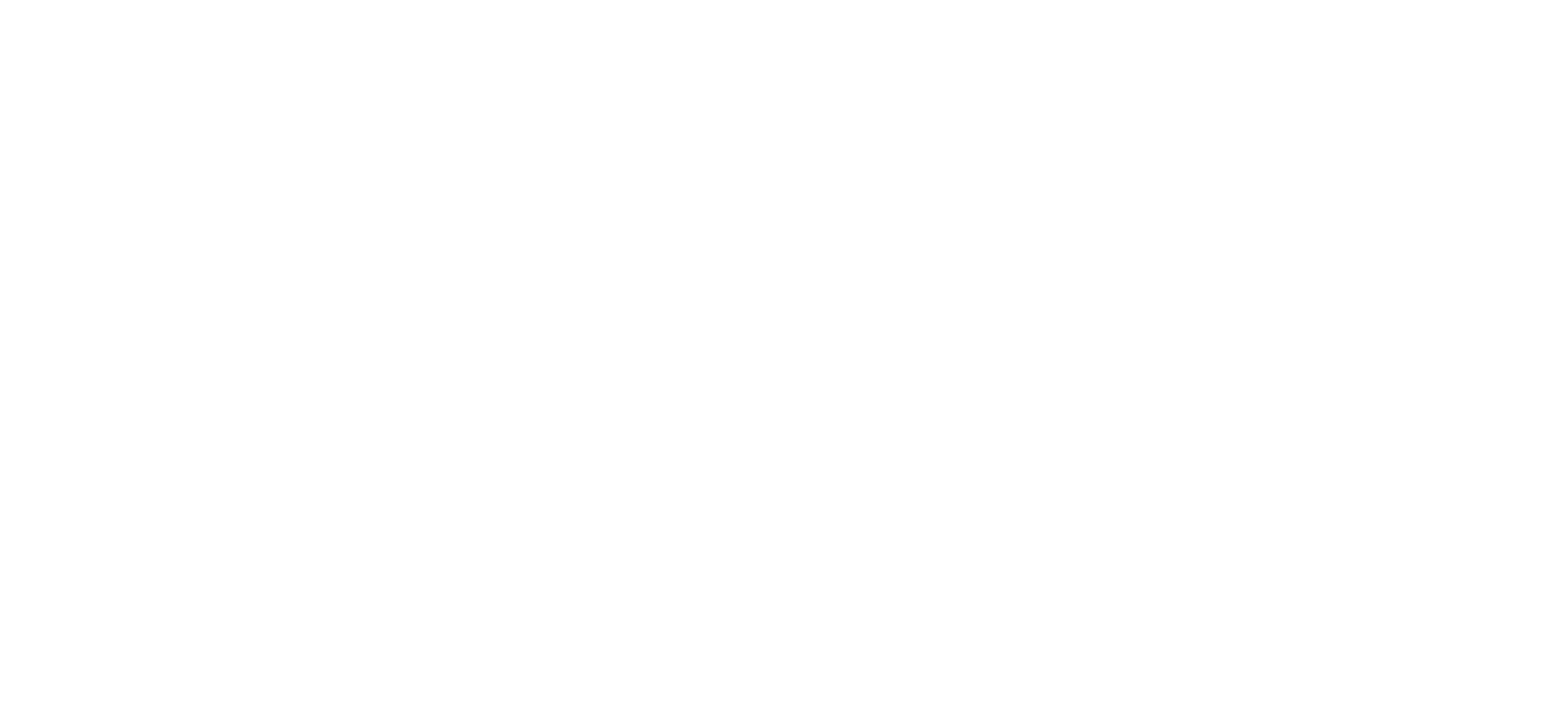 Porto Seguro Logo